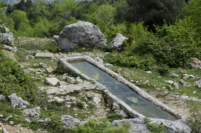 Fontanili del Lazio